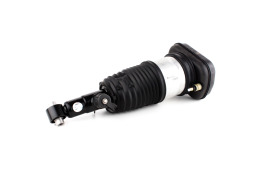 BMW X7 G07 Rear Right Air Strut with VDC 