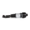 Mercedes-Benz E Class W211 Airmatic 2002-2009 Right Front Air Suspension Shock A2113209413