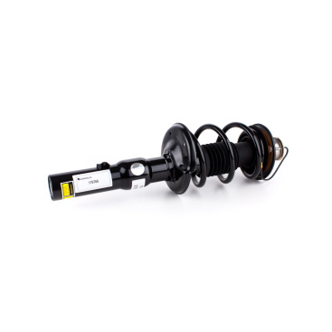 Porsche Cayman 981 Rear (Left or Right) Shock Absorber Coil Spring Assembly with PASM 98133304512