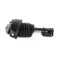 Mercedes E Class W212, S212 4MATIC (incl. AMG) Air Suspension Strut Front Left with ADS A212320333880