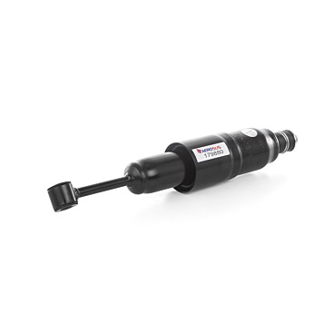 Ford Expedition 4WD (1997-2002) Front Air Strut F85Z18124MC
