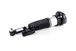 BMW 7 Series G11/12 Air Suspension Strut with VDC (2WD+4WD) Rear Left